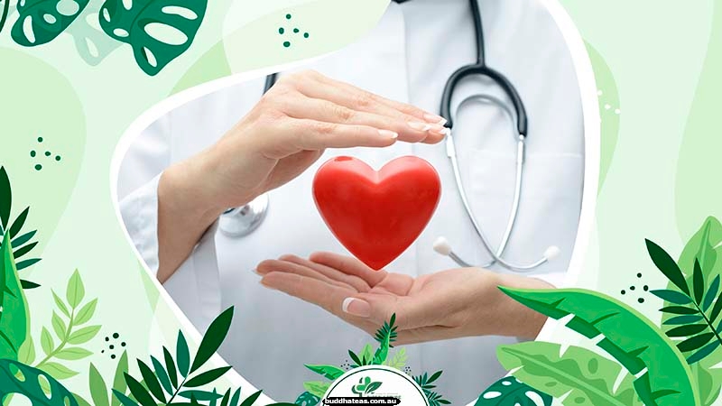 Cardiovascular Health Support